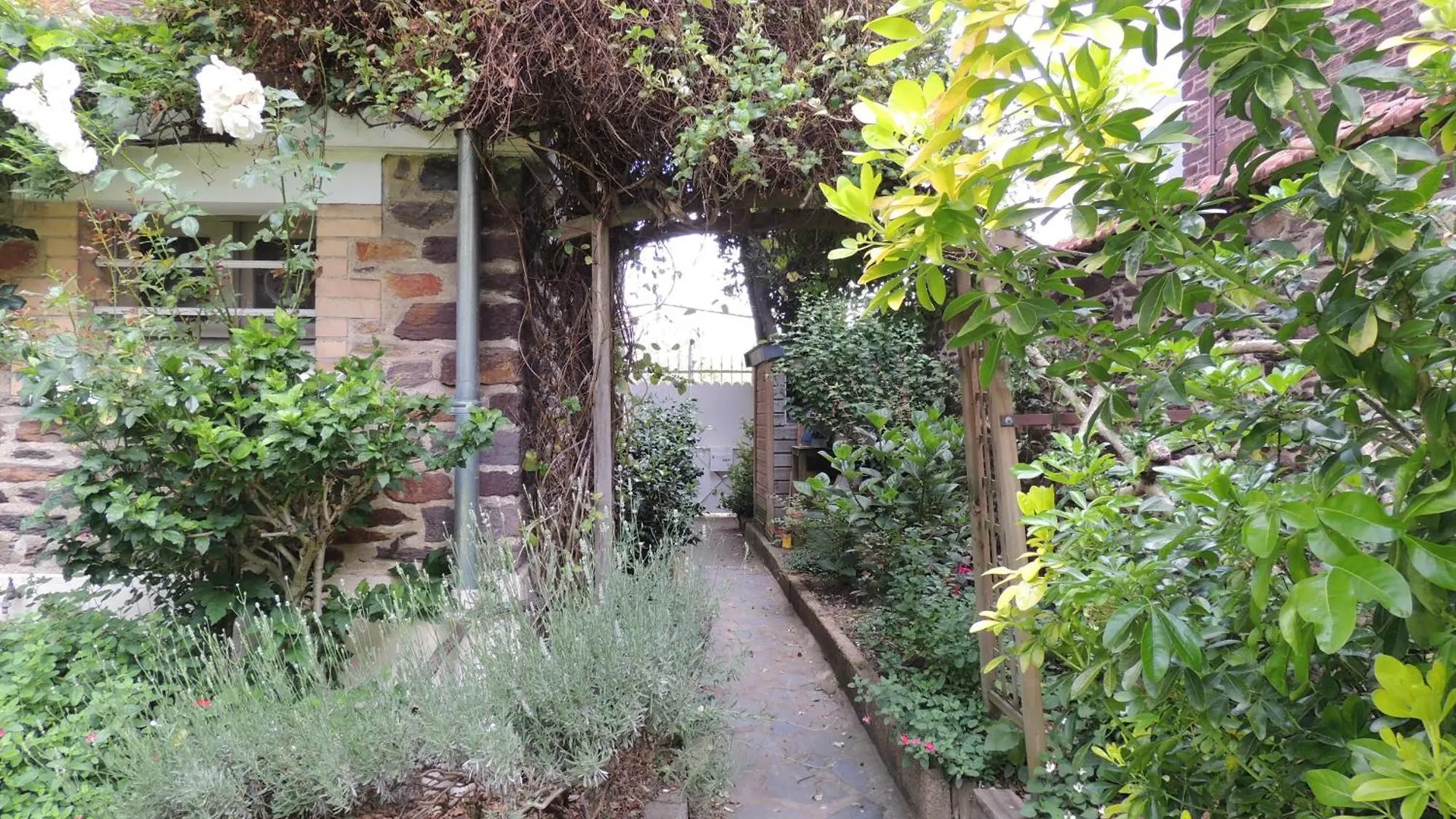 Chambre D'Hote Le Jardin De L'Esplanade Rennes Centre Et Gare France